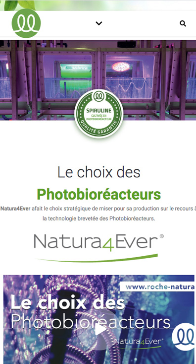 Une page d'un des articles du blog du site www.roche-natura.fr ; version mobile, en Responsive Web Design